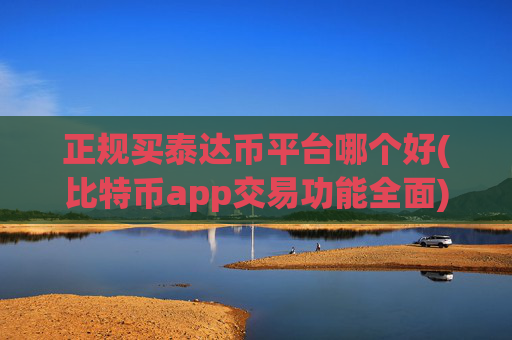 正规买泰达币平台哪个好(比特币app交易功能全面)