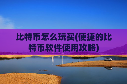 比特币怎么玩买(便捷的比特币软件使用攻略)