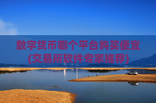 数字货币哪个平台购买便宜(交易所软件专家推荐)