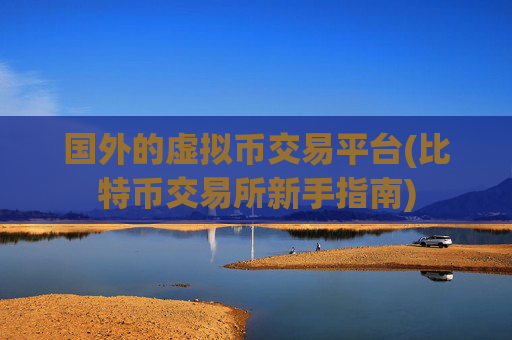国外的虚拟币交易平台(比特币交易所新手指南)