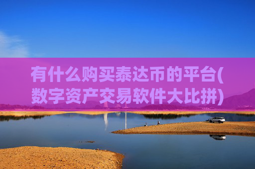 有什么购买泰达币的平台(数字资产交易软件大比拼)