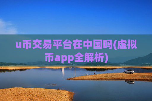 u币交易平台在中国吗(虚拟币app全解析)