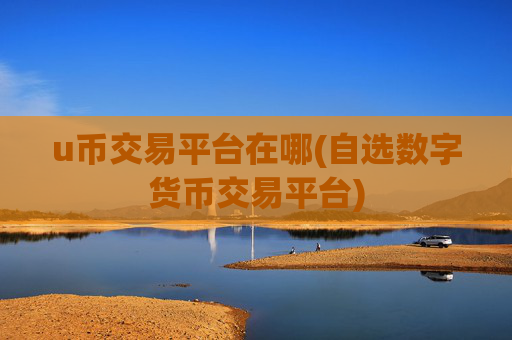 u币交易平台在哪(自选数字货币交易平台)