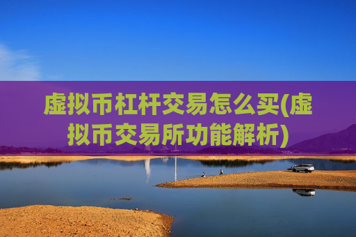 虚拟币杠杆交易怎么买(虚拟币交易所功能解析)