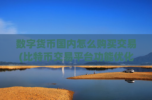 数字货币国内怎么购买交易(比特币交易平台功能优化)