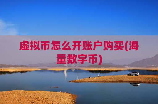 虚拟币怎么开账户购买(海量数字币)