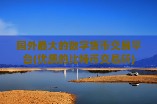 国外最大的数字货币交易平台(优质的比特币交易所)