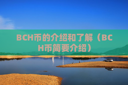 BCH币的介绍和了解（BCH币简要介绍）