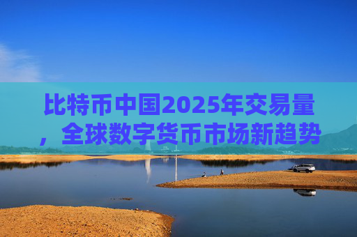 比特币中国2025年交易量，全球数字货币市场新趋势