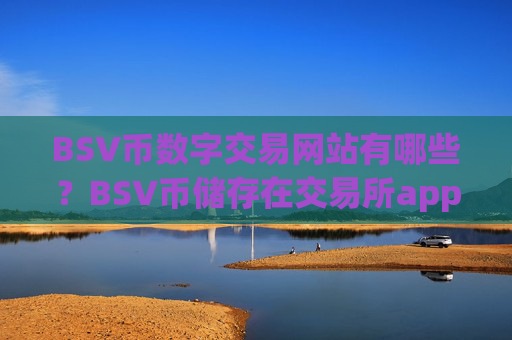 BSV币数字交易网站有哪些？BSV币储存在交易所app下载