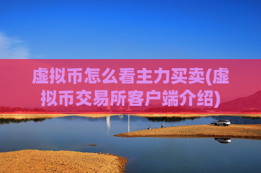 虚拟币怎么看主力买卖(虚拟币交易所客户端介绍)