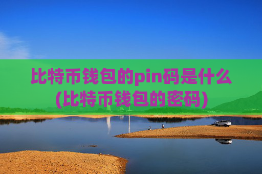 比特币钱包的pin码是什么(比特币钱包的密码)