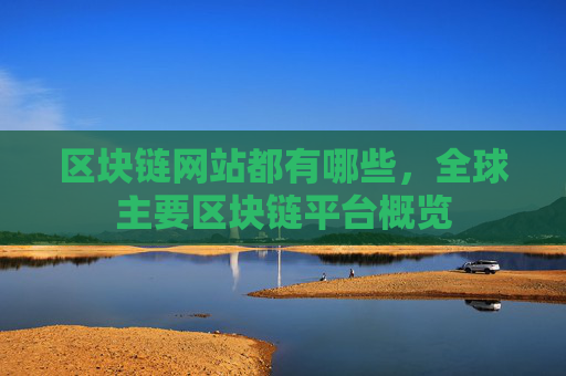 区块链网站都有哪些，全球主要区块链平台概览