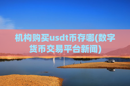 机构购买usdt币存哪(数字货币交易平台新闻)