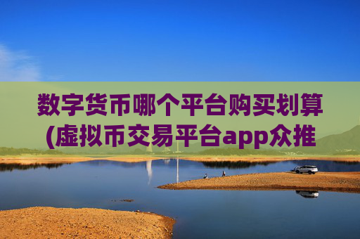 数字货币哪个平台购买划算(虚拟币交易平台app众推荐)