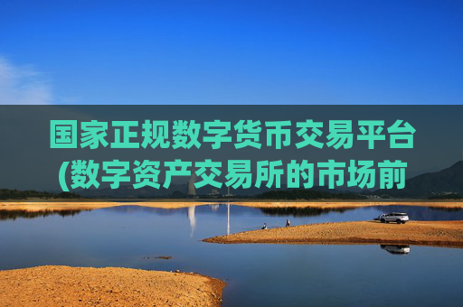 国家正规数字货币交易平台(数字资产交易所的市场前景)