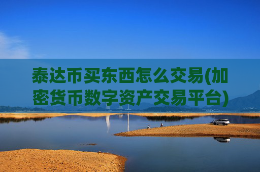 泰达币买东西怎么交易(加密货币数字资产交易平台)