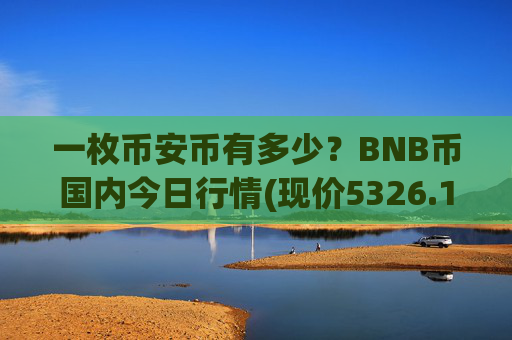 一枚币安币有多少？BNB币国内今日行情(现价5326.19元)
