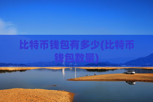 比特币钱包有多少(比特币钱包数量)