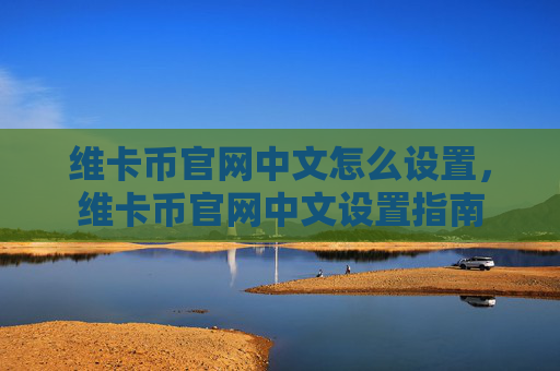 维卡币官网中文怎么设置，维卡币官网中文设置指南