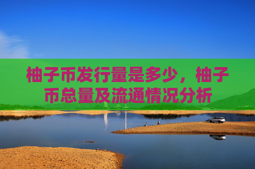 柚子币发行量是多少，柚子币总量及流通情况分析