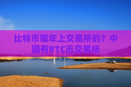 比特币哪年上交易所的？中国有BTC币交易所