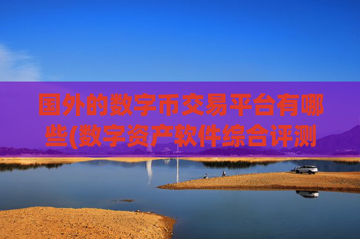 国外的数字币交易平台有哪些(数字资产软件综合评测)