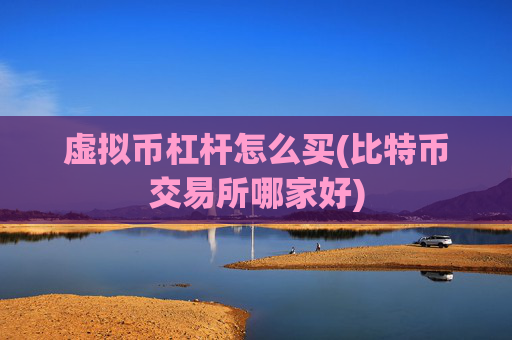 虚拟币杠杆怎么买(比特币交易所哪家好)