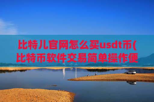 比特儿官网怎么买usdt币(比特币软件交易简单操作便捷快速)