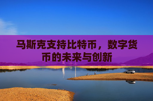 马斯克支持比特币，数字货币的未来与创新