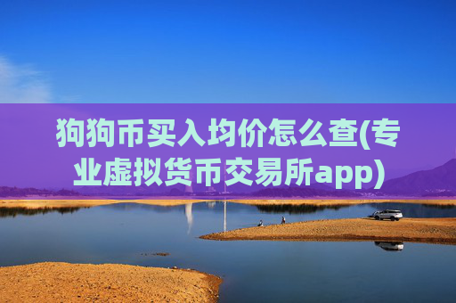 狗狗币买入均价怎么查(专业虚拟货币交易所app)
