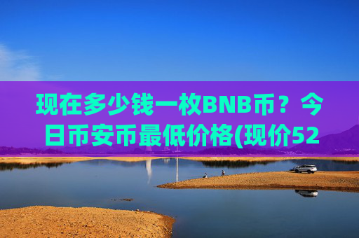 现在多少钱一枚BNB币？今日币安币最低价格(现价5287.9元)