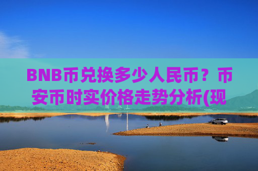 BNB币兑换多少人民币？币安币时实价格走势分析(现价4822.18元)