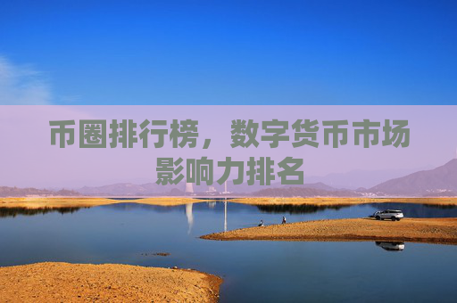 币圈排行榜，数字货币市场影响力排名