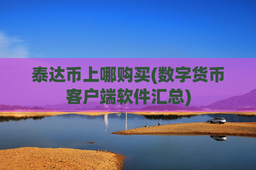 泰达币上哪购买(数字货币客户端软件汇总)