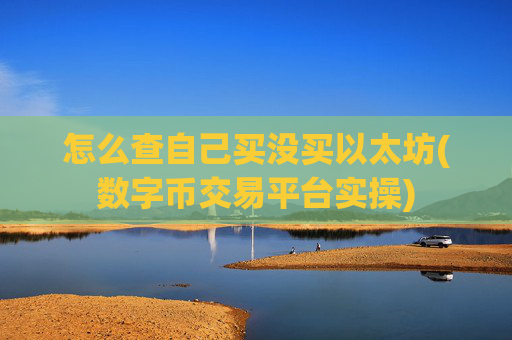 怎么查自己买没买以太坊(数字币交易平台实操)