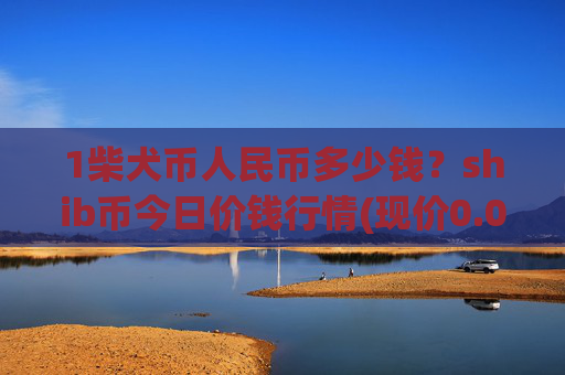 1柴犬币人民币多少钱？shib币今日价钱行情(现价0.00015873元)