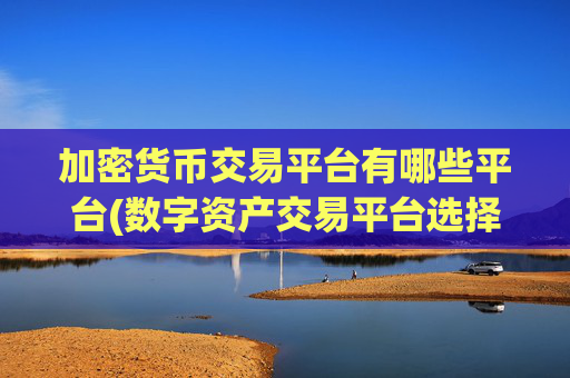 加密货币交易平台有哪些平台(数字资产交易平台选择关键点)