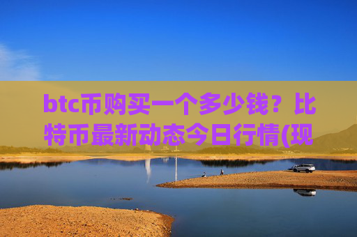 btc币购买一个多少钱？比特币最新动态今日行情(现价745428.22元)