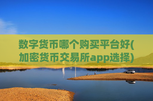 数字货币哪个购买平台好(加密货币交易所app选择)