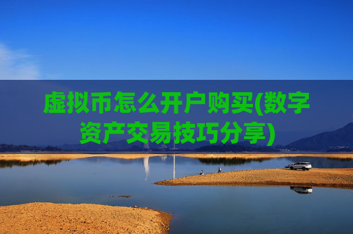 虚拟币怎么开户购买(数字资产交易技巧分享)