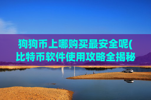 狗狗币上哪购买最安全呢(比特币软件使用攻略全揭秘)