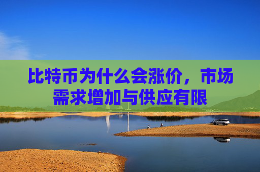 比特币为什么会涨价，市场需求增加与供应有限