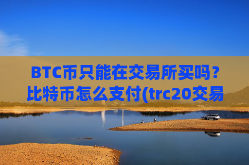 BTC币只能在交易所买吗？比特币怎么支付(trc20交易平台)