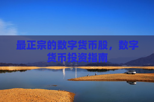 最正宗的数字货币股，数字货币投资指南