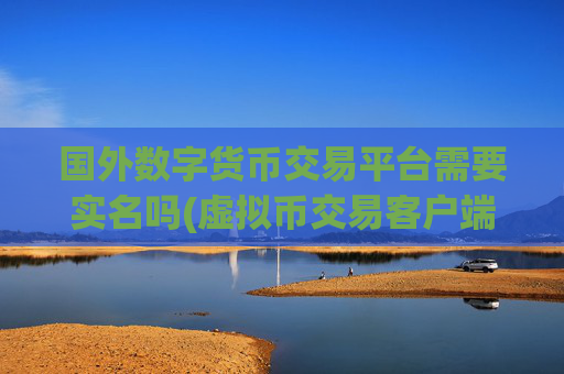 国外数字货币交易平台需要实名吗(虚拟币交易客户端的实用技巧)