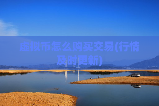 虚拟币怎么购买交易(行情及时更新)