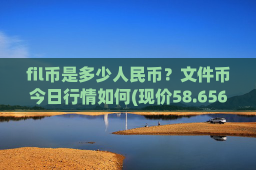fil币是多少人民币？文件币今日行情如何(现价58.6568元)