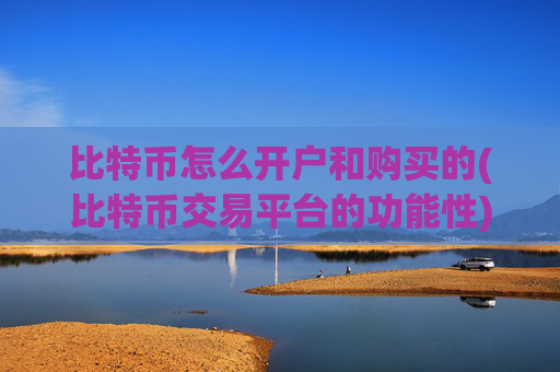 比特币怎么开户和购买的(比特币交易平台的功能性)