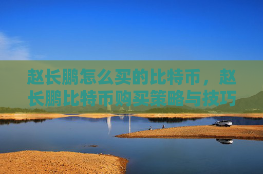 赵长鹏怎么买的比特币，赵长鹏比特币购买策略与技巧